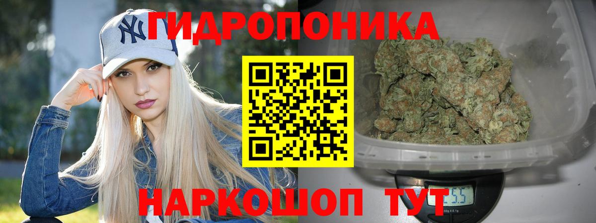 Бошки марихуана MAZAR  Вход с VPN  Звенигород  Шишки марихуана планчик  МАРИХУАНА планчик 